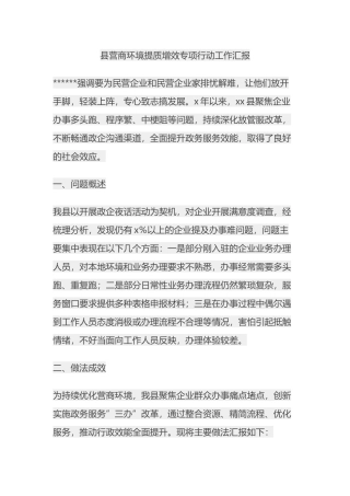 县营商环境提质增效专项行动工作汇报