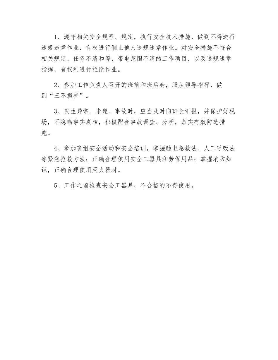 检修班其他成员岗位职责和安全职责_第2页