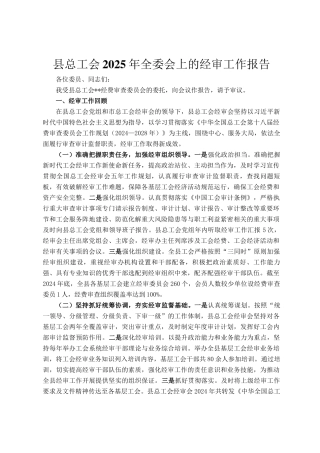 县总工会2025年全委会上的经审工作报告