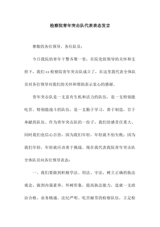 检察院青年突击队代表表态发言