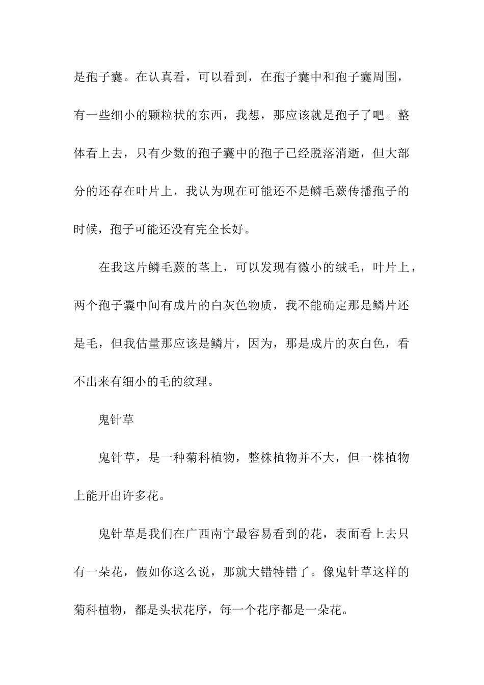 植物考察报告_第2页