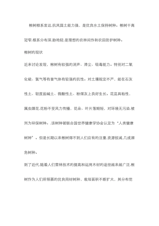 楸树市场行情及前景分析