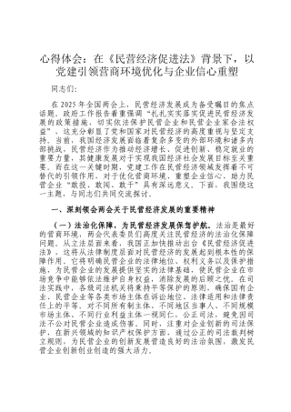 心得体会：在《民营经济促进法》背景下，以党建引领营商环境优化与企业信心重塑