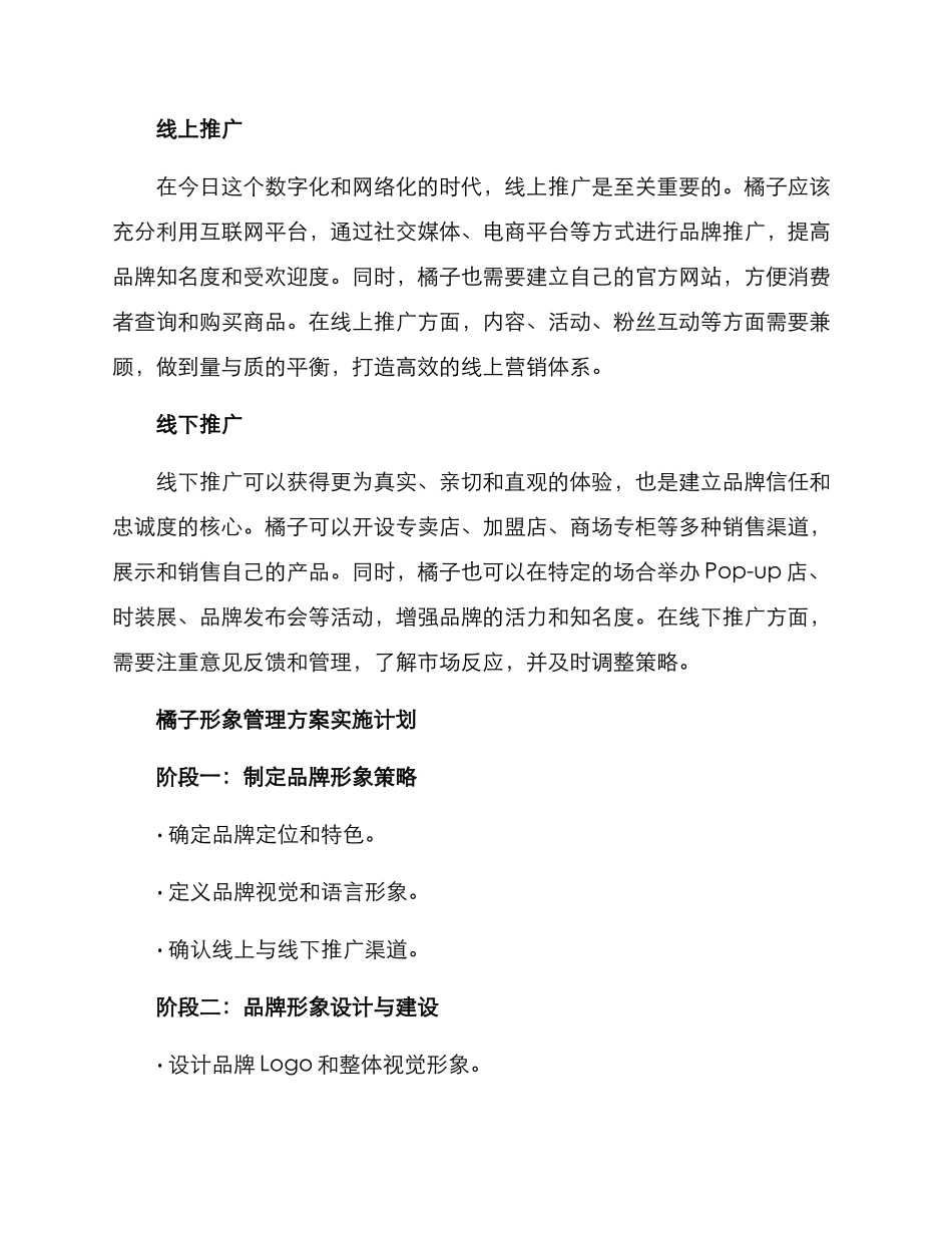 橘子形象管理方案_第2页