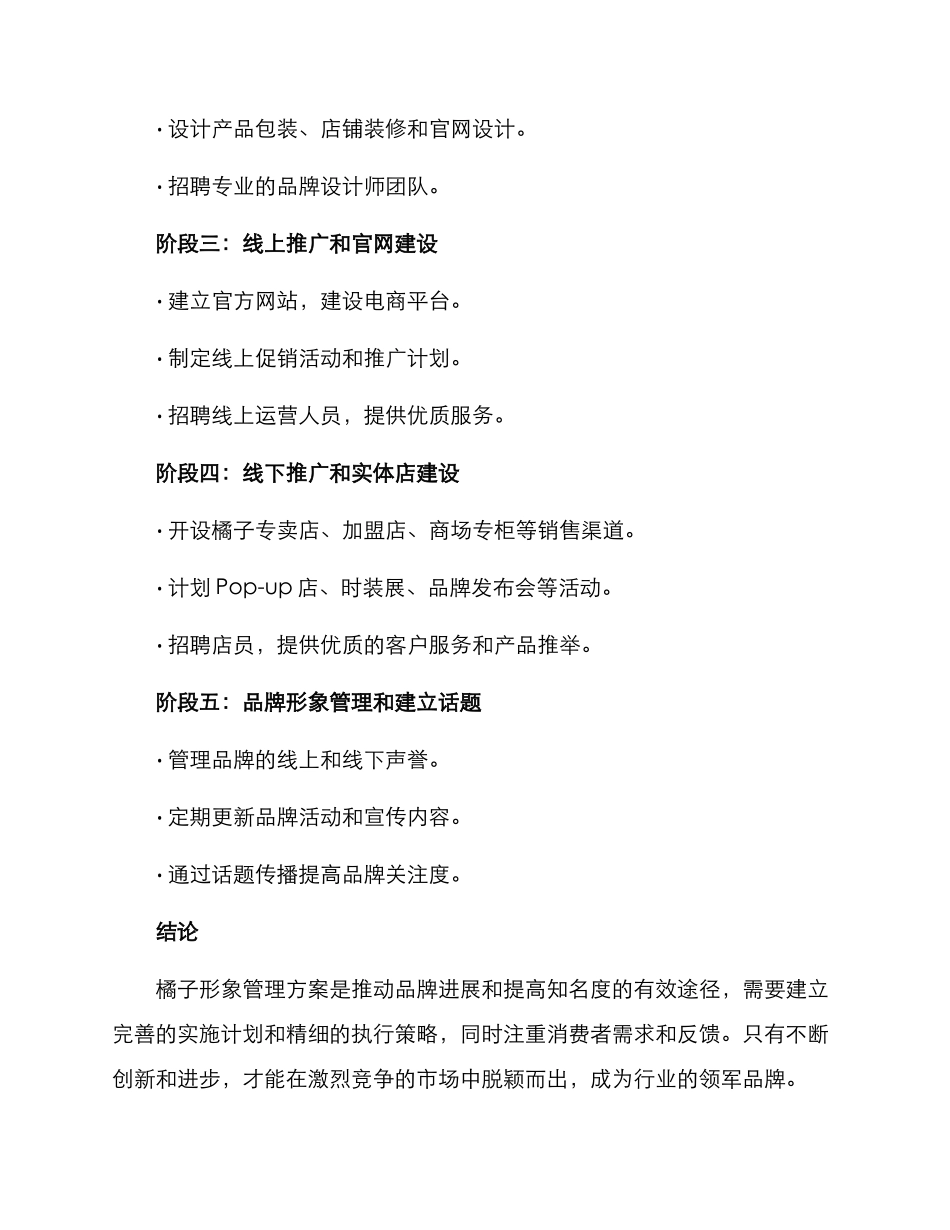 橘子形象管理方案_第3页