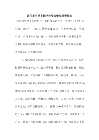 武冈市头堂乡托坪村受灾情况调查报告