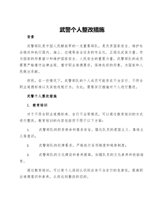 武警个人整改措施