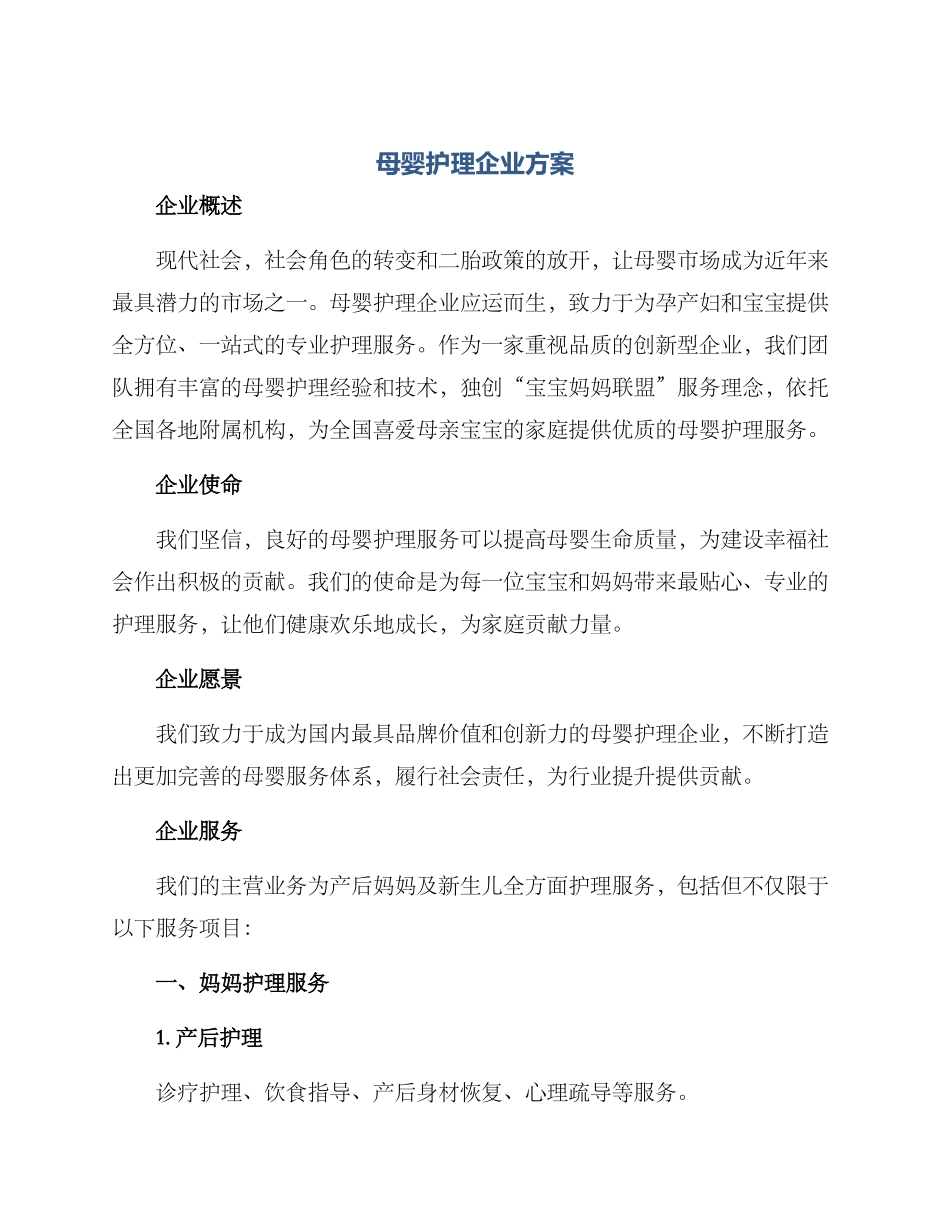 母婴护理企业方案_第1页