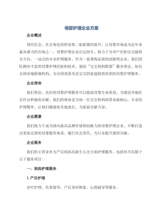 母婴护理企业方案