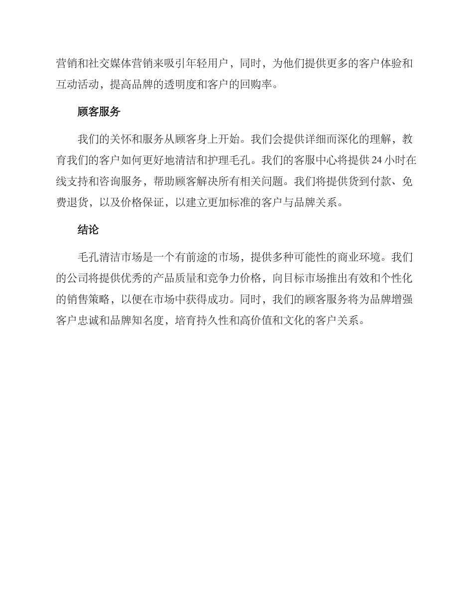 毛孔清洁销售方案_第3页