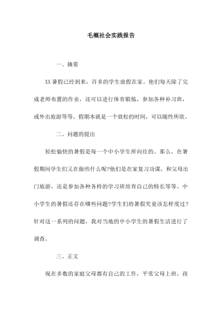 毛概社会实践报告