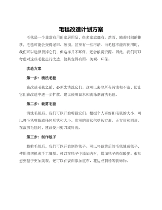 毛毯改造计划方案