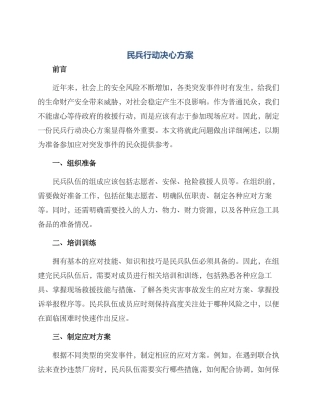 民兵行动决心方案