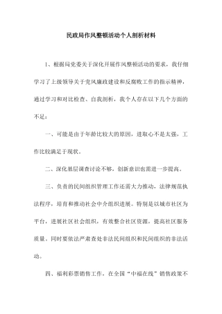 民政局作风整顿活动个人剖析材料