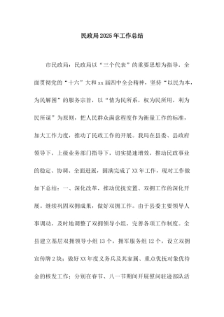 民政局2025年工作总结
