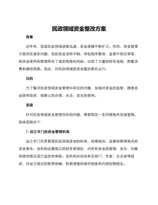 民政领域资金整改方案
