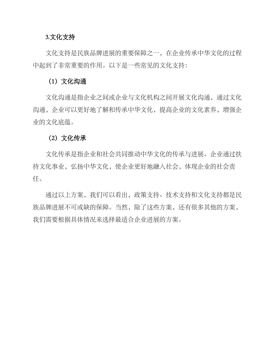 民族品牌扶持方案_第3页