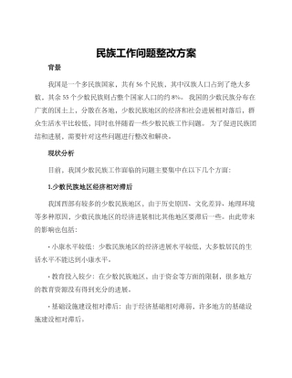 民族工作问题整改方案