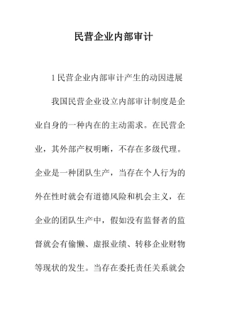 民营企业内部审计-3