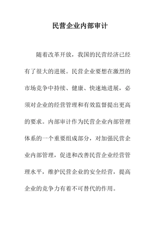 民营企业内部审计-2