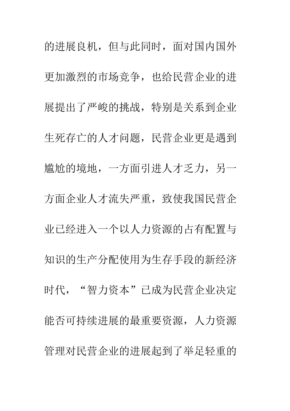 民营企业人力资源发展_第2页