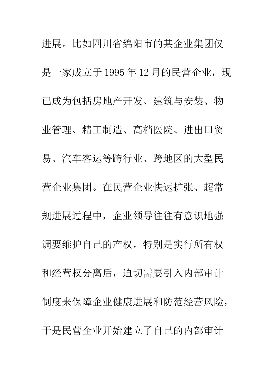 民营企业内部审计_第2页