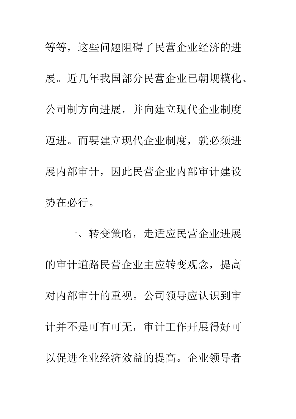 民营企业内部审计对策_第3页