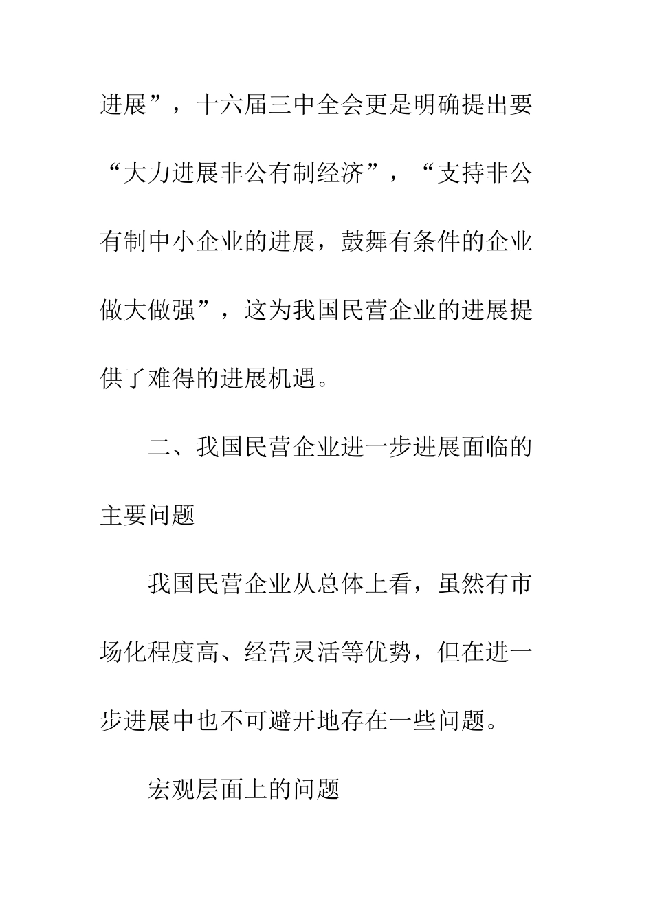 民营企业发展计策_第3页