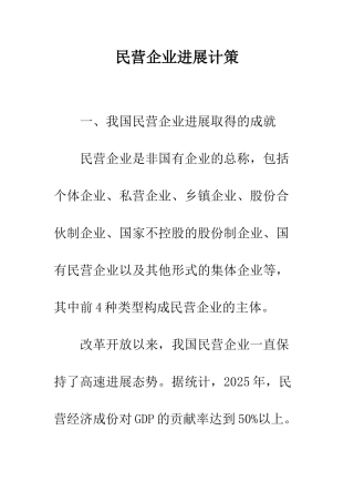 民营企业发展计策