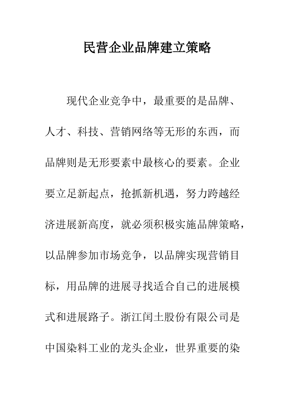 民营企业品牌建立策略_第1页