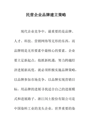 民营企业品牌建立策略