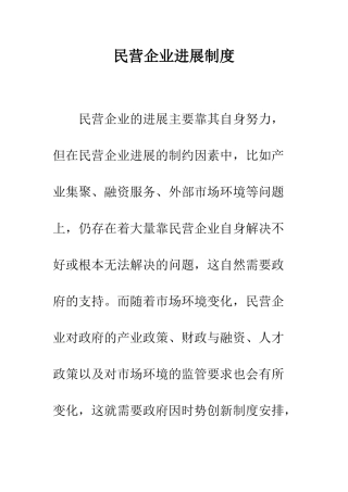 民营企业发展制度