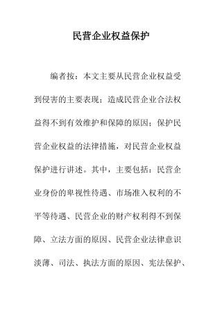 民营企业权益保护
