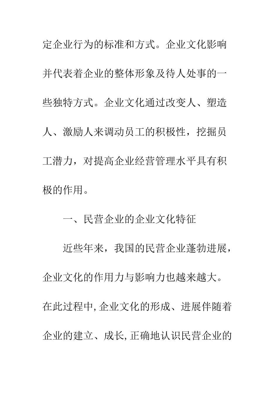 民营企业文化精神支柱_第2页