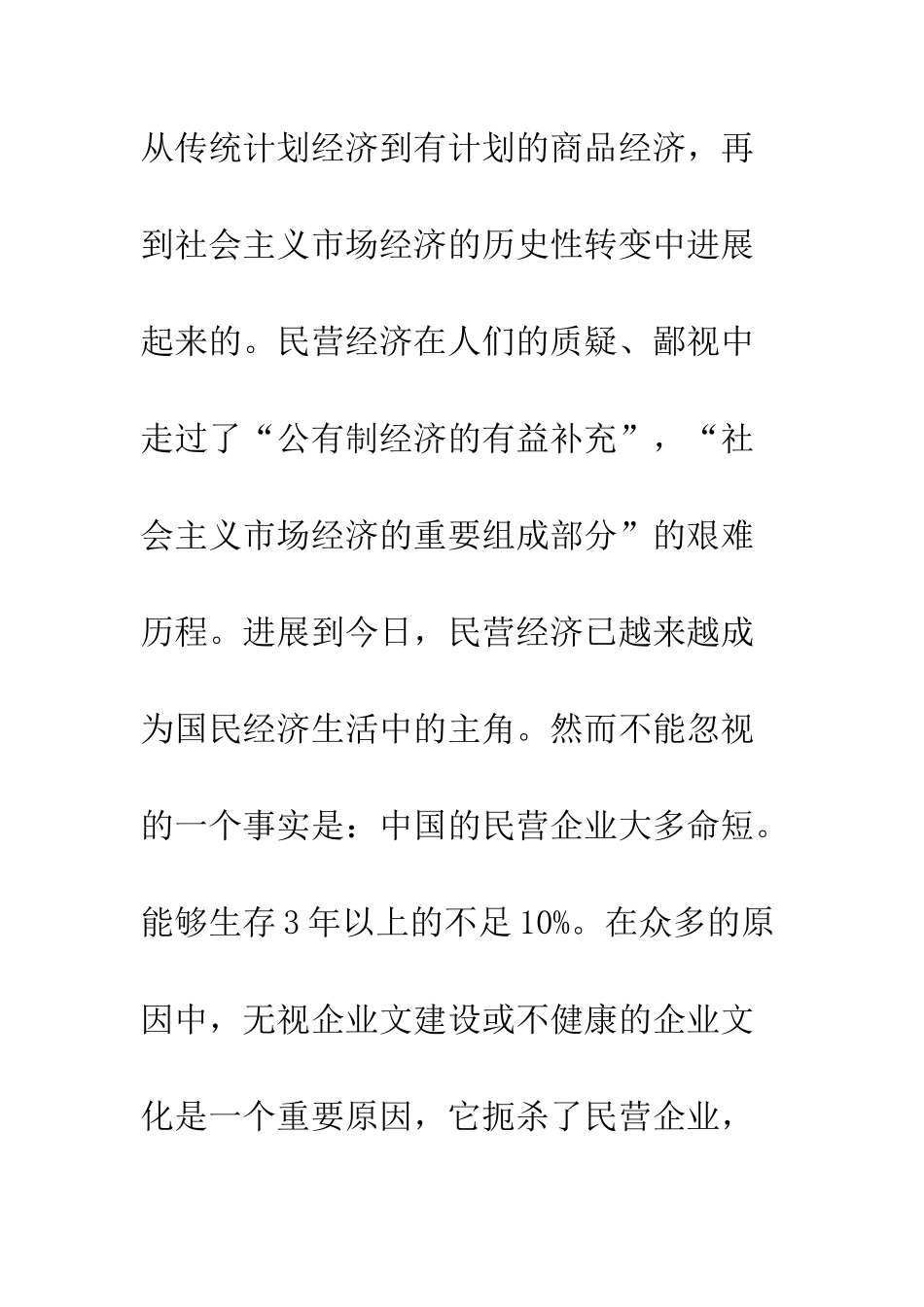 民营企业文化发展_第3页