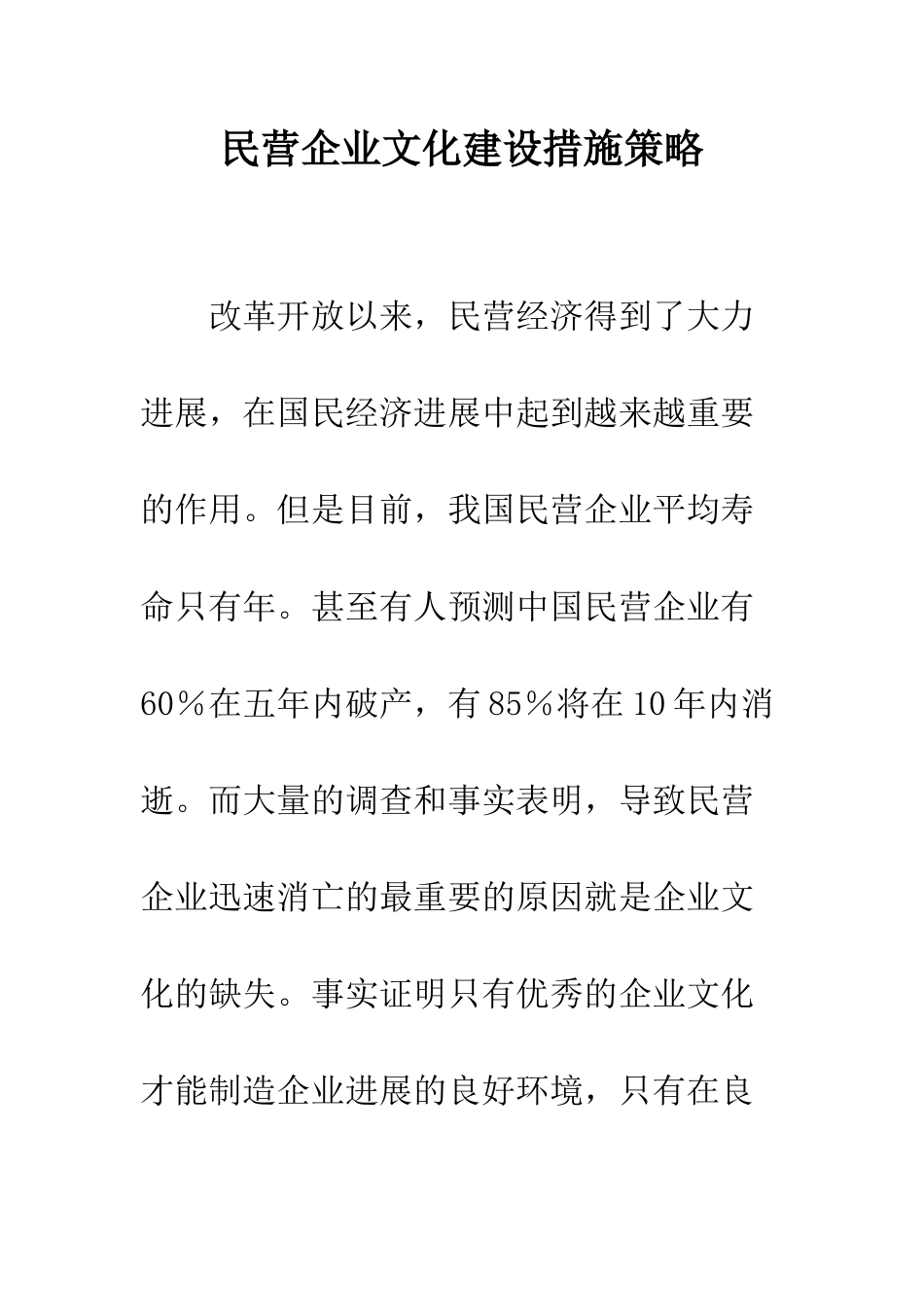 民营企业文化建设措施策略_第1页