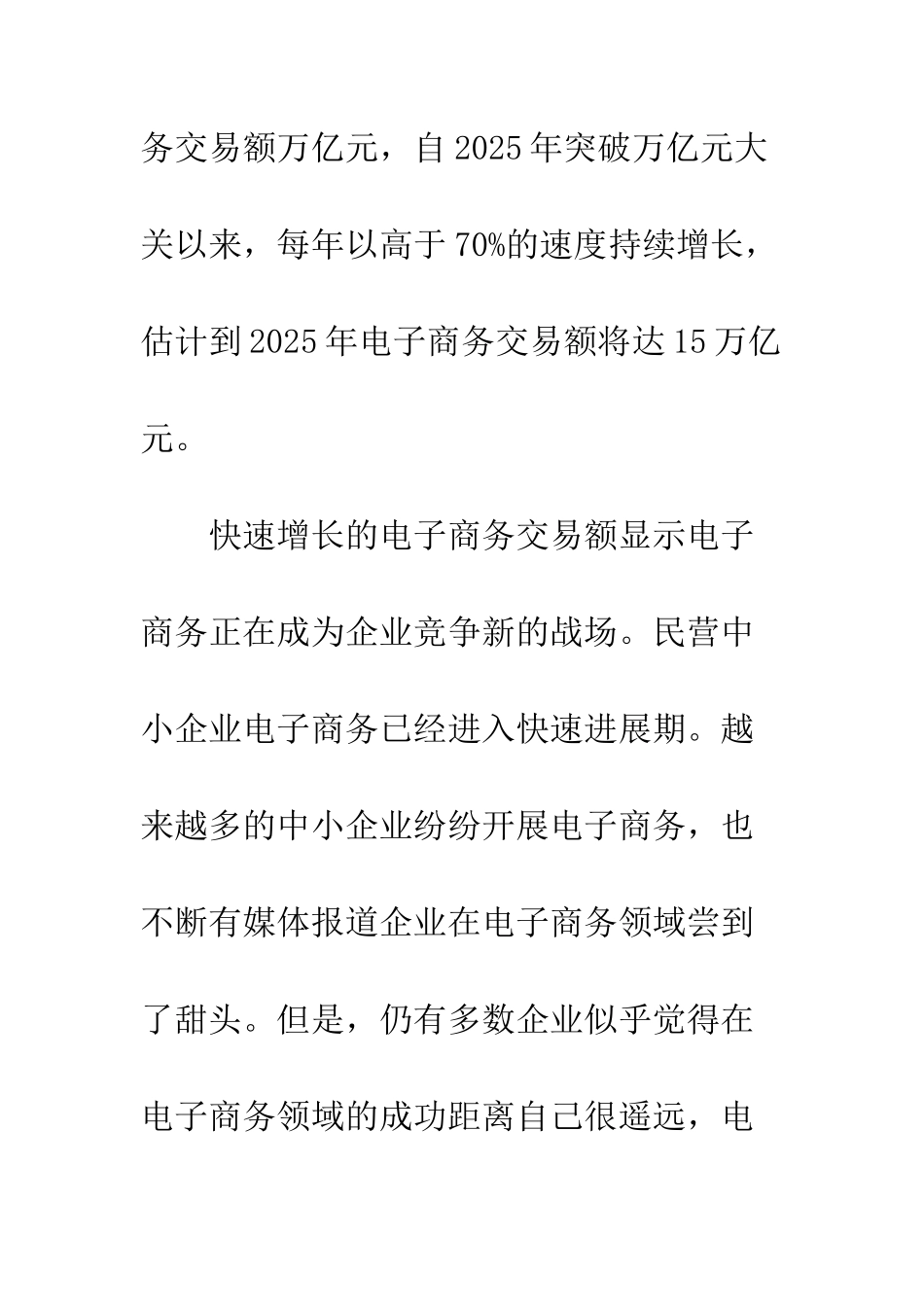 民营企业电子商务使用_第3页