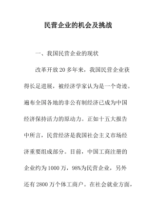 民营企业的机会及挑战