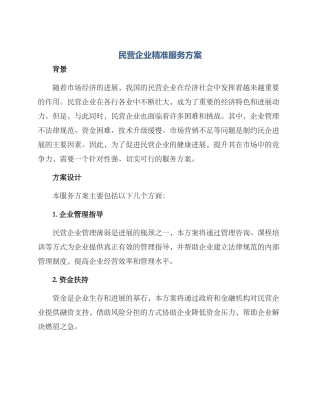民营企业精准服务方案