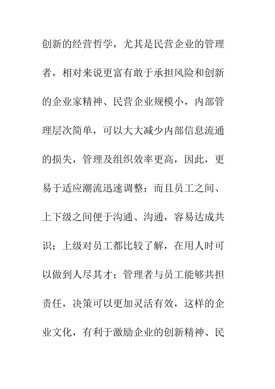 民营企业经营策略_第2页
