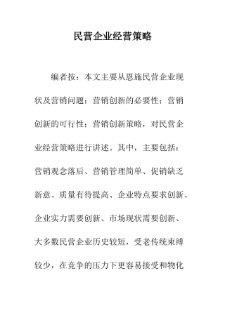 民营企业经营策略