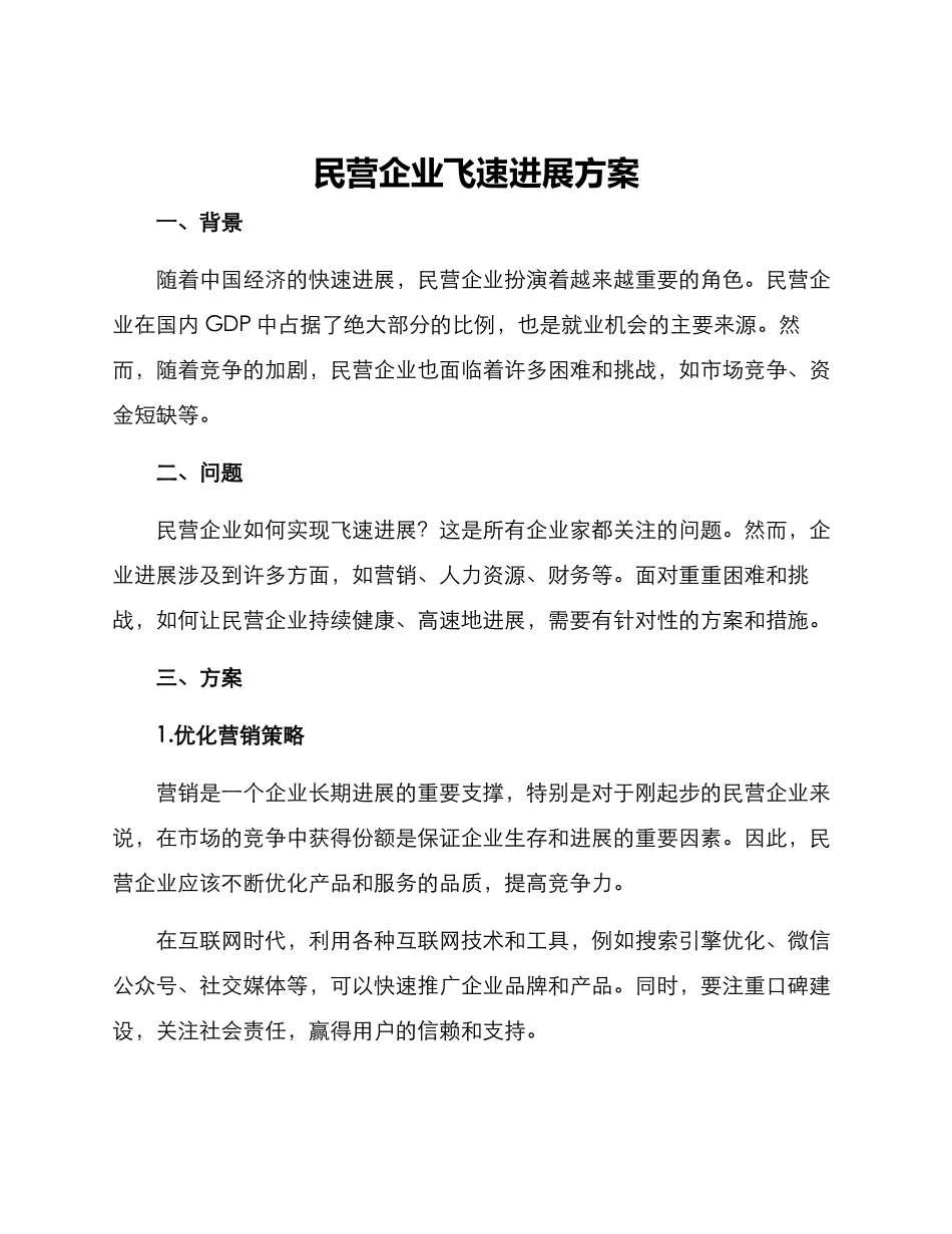 民营企业飞速发展方案_第1页