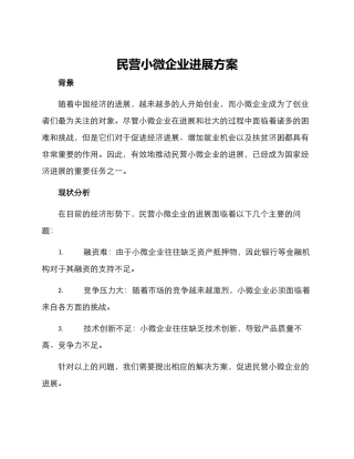 民营小微企业发展方案