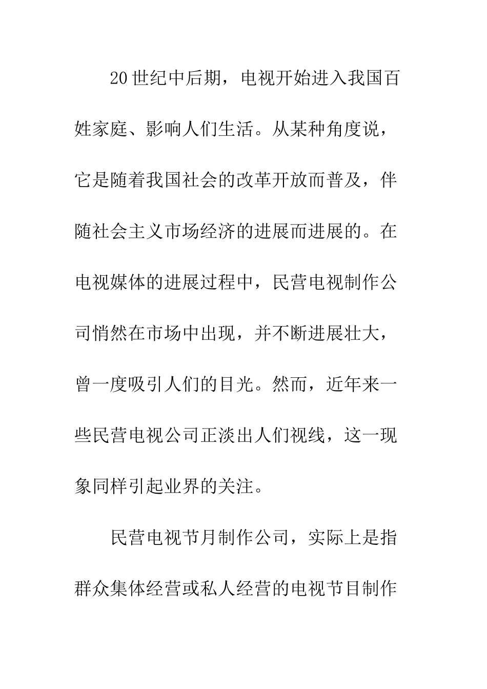民营电视发展市场前景_第2页