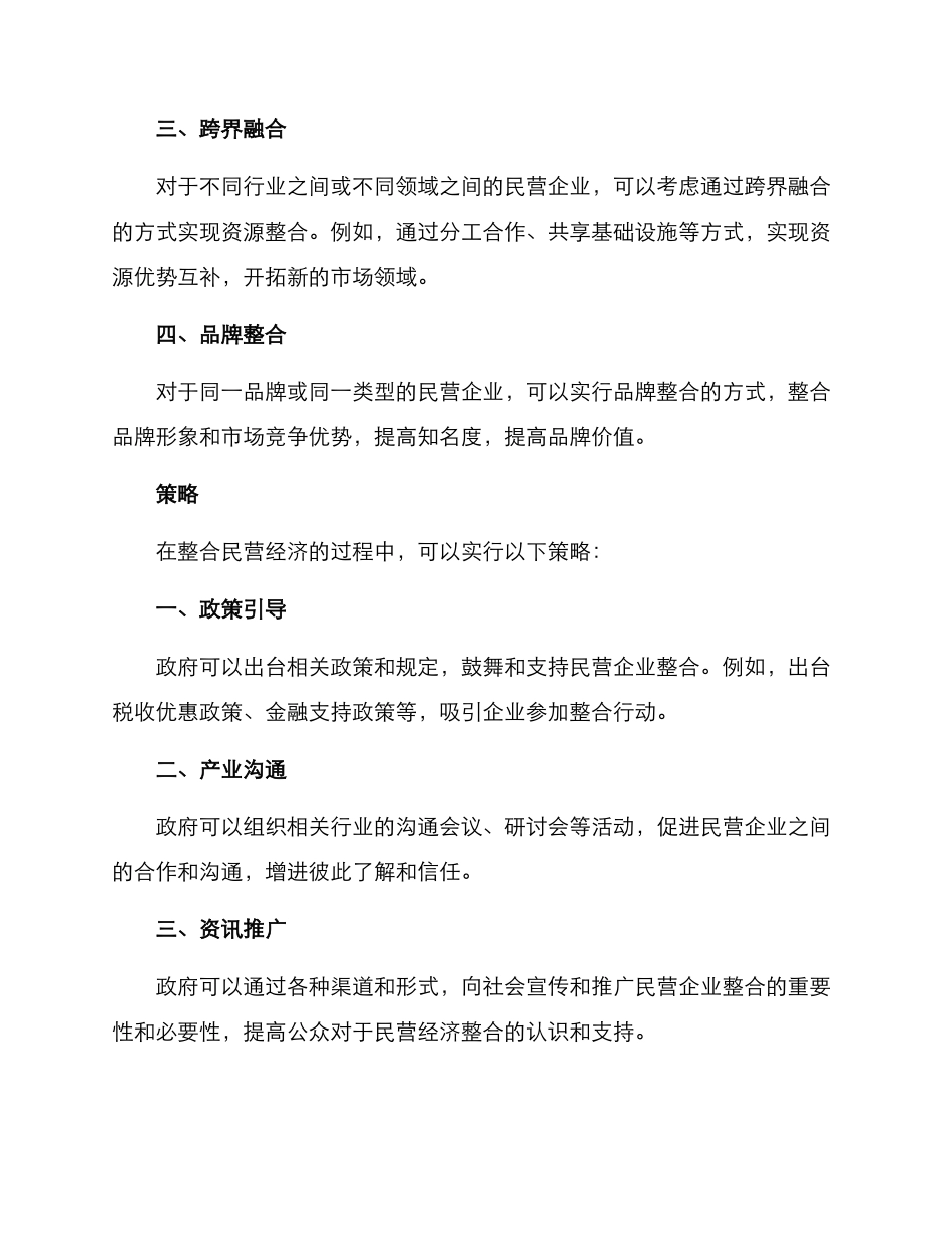 民营经济整合方案_第2页