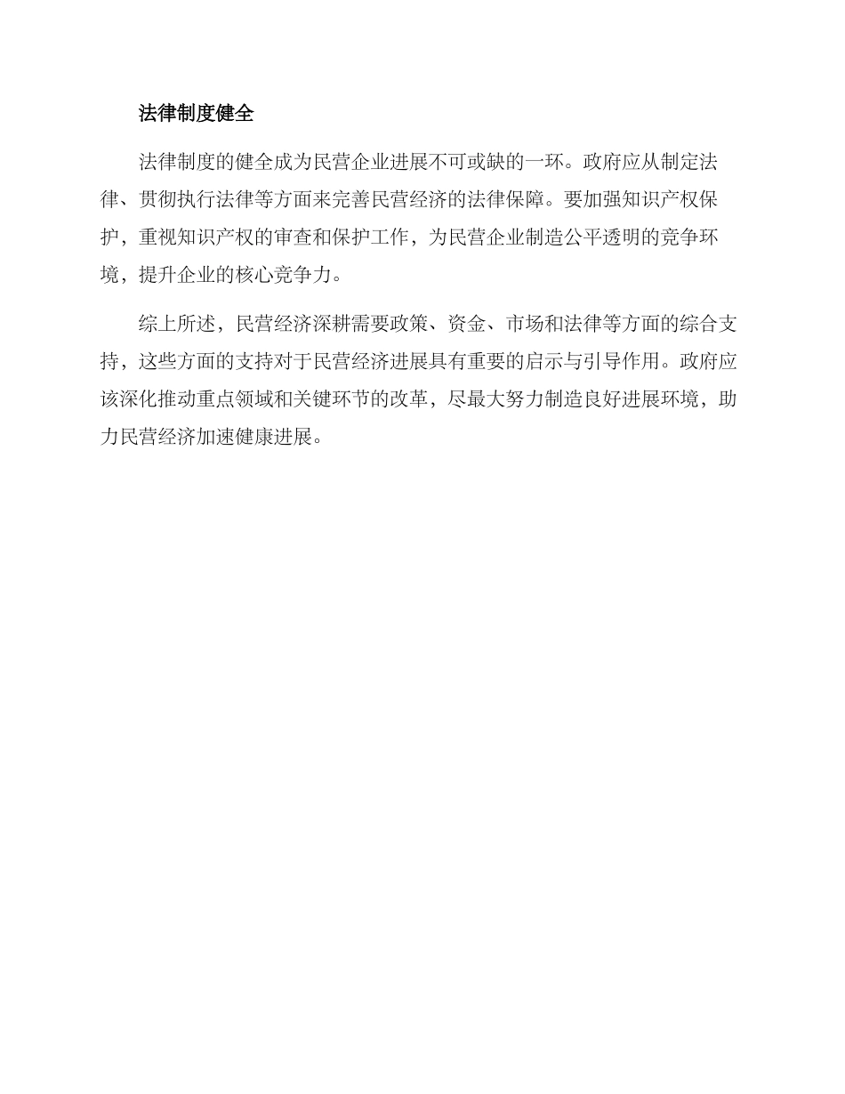 民营经济深耕行动方案_第2页