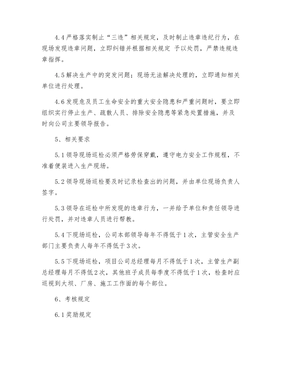 水电站领导下现场巡查管理规定_第2页