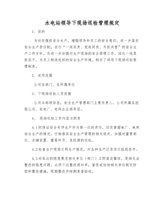 水电站领导下现场巡查管理规定