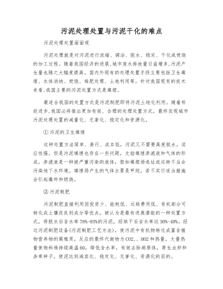 污泥处理处置与污泥干化的难点