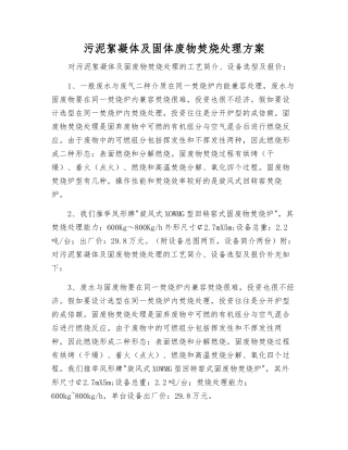 污泥絮凝体及固体废物焚烧处理方案
